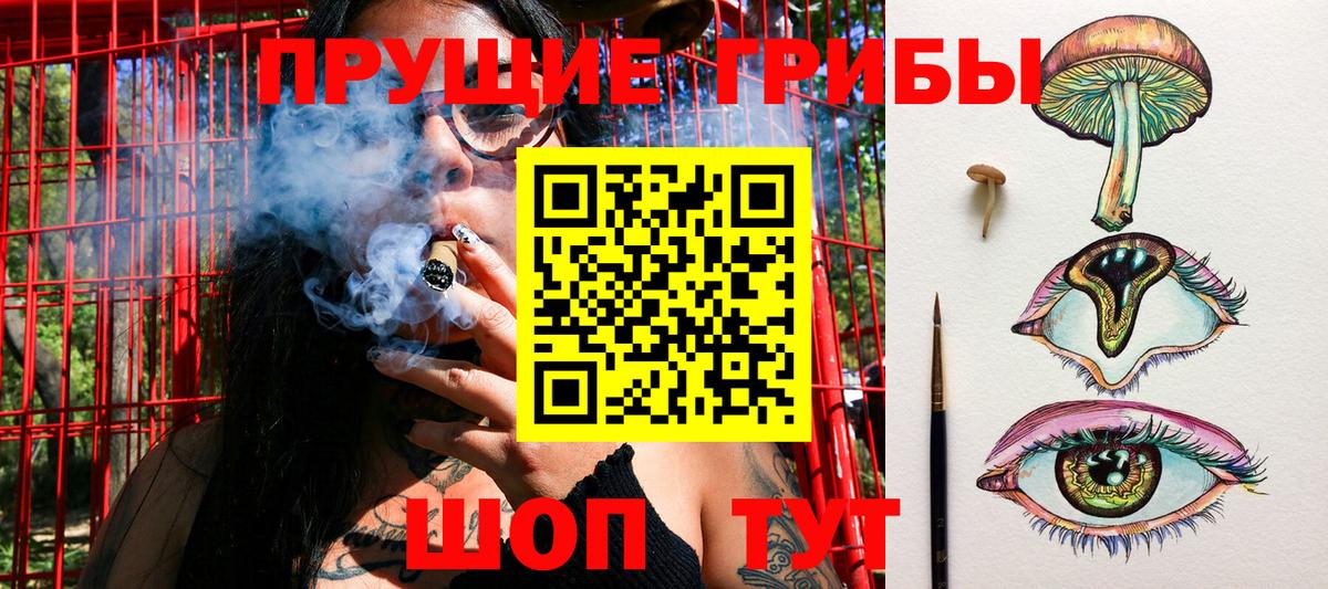 Галлюциногенные грибы Psilocybine cubensis Иваново